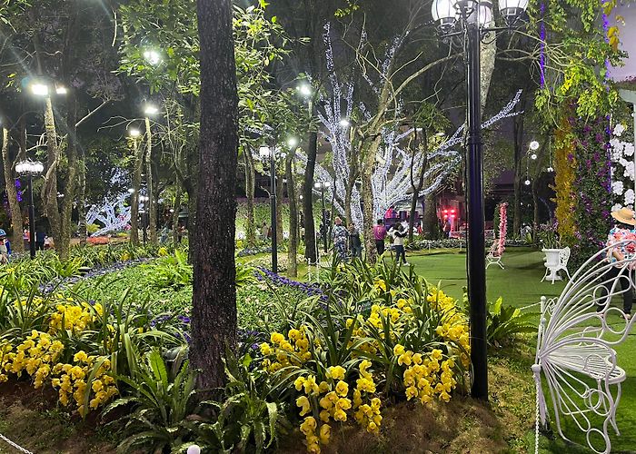 Walking Street Chiang Rai photo