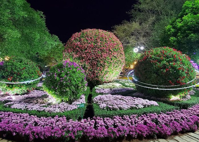 Walking Street Chiang Rai photo