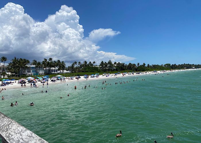 Naples Pier photo