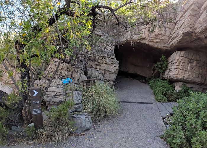 Arizona-Sonora Desert Museum photo