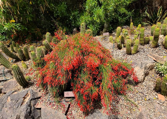 Arizona-Sonora Desert Museum photo