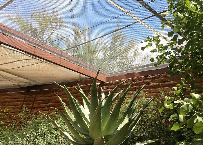 Arizona-Sonora Desert Museum photo