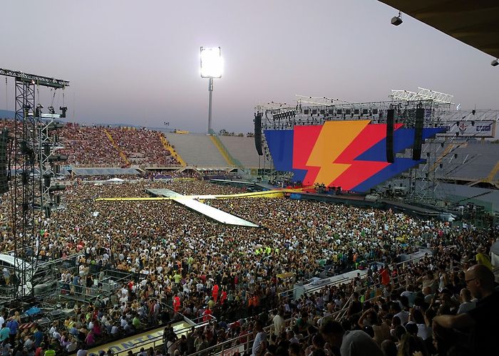 Artemio Franchi Stadium photo