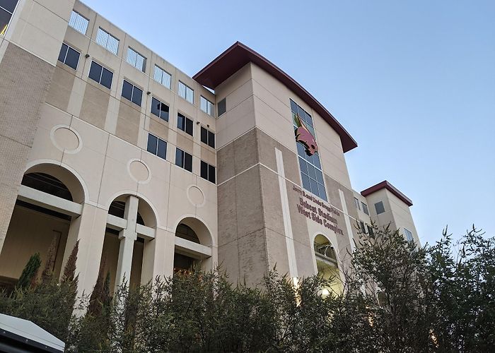 Bobcat Stadium photo