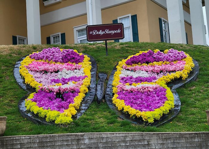 Dolly Parton's Dixie Stampede Dinner Attraction photo