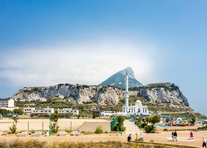 Zwinger Gibraltar Day Trip with Dolphin Watching Boat Tour and Rock Visit ... photo