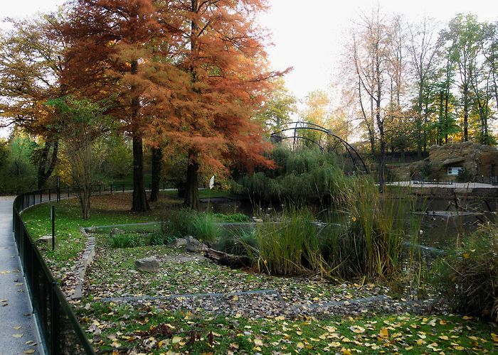 Tierpark Lange Erlen Lange Erlen Animal Park | Switzerland Tourism photo