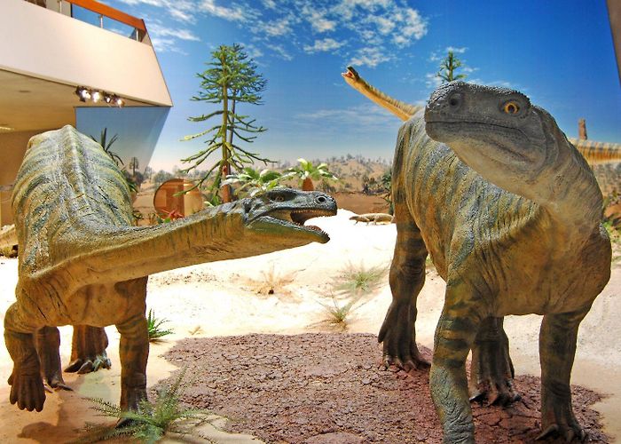 History Museum of Baden-Württemberg Stuttgart State Museum of Natural History - Staatliches Museum für ... photo