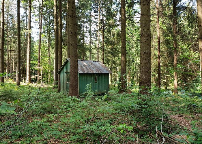 Schloss Zeil Top 5 Hikes and Walks around Leutkirch im Allgäu | Komoot photo