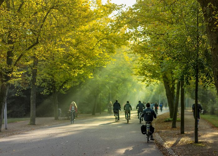 Vondelpark Vondelpark — Park Review | Condé Nast Traveler photo