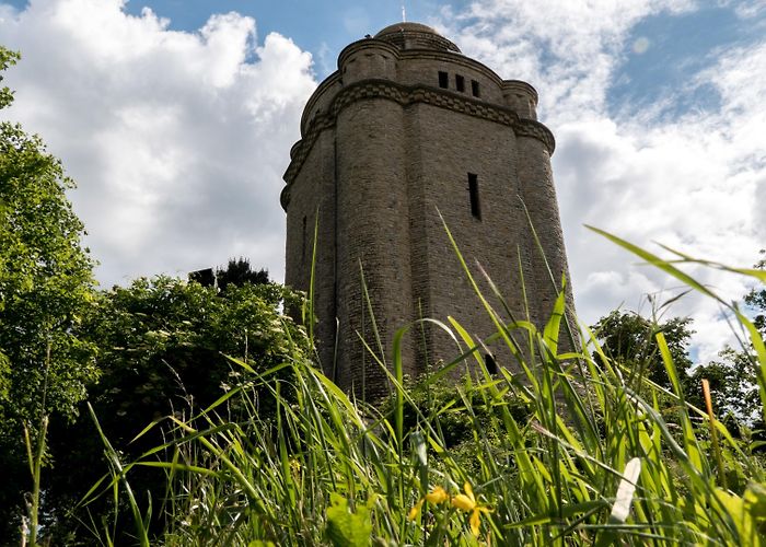 Tiger-Garten Waldeck e.V. Visit Ingelheim am Rhein: 2024 Travel Guide for Ingelheim am Rhein ... photo