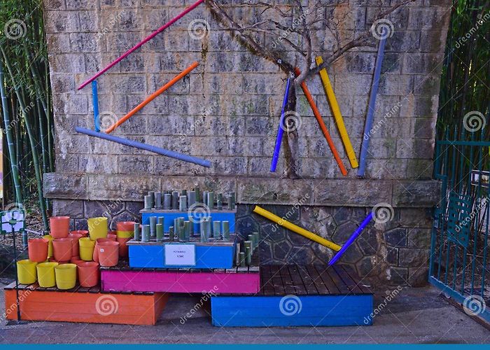 Bambouseraie de Prafrance Bambouseraie Stock Photos - Free & Royalty-Free Stock Photos from ... photo