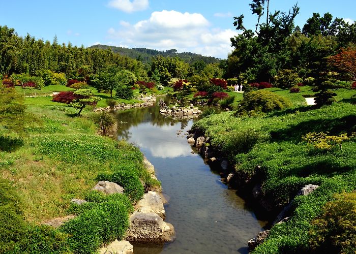 Bambouseraie de Prafrance Anduze Bamboo Grove in Générargues: 11 reviews and 73 photos photo