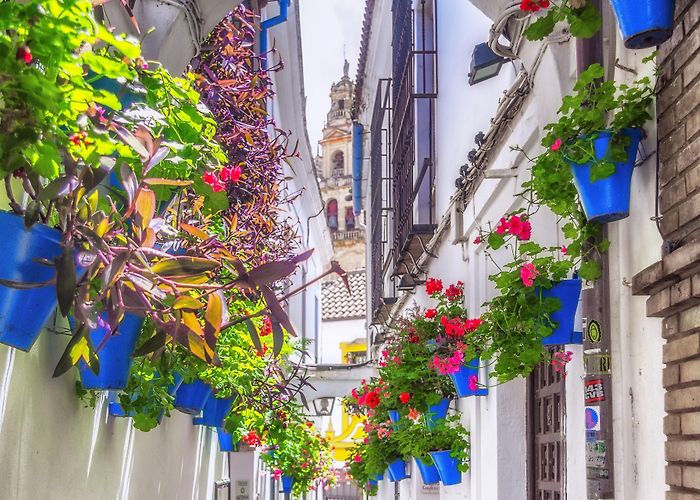 Calleja de las Flores Calleja de las Flores Tours - Book Now | Expedia photo