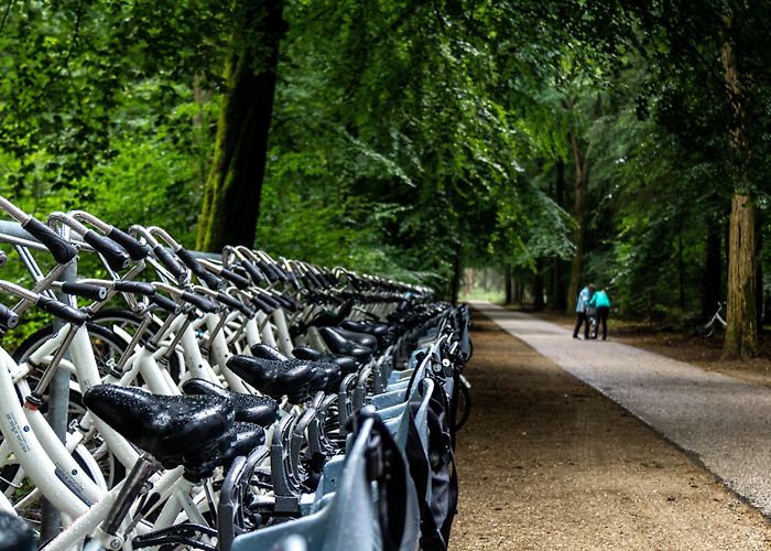 Kröller-Müller Museum Things to Do in Otterlo in 2024 | Expedia photo