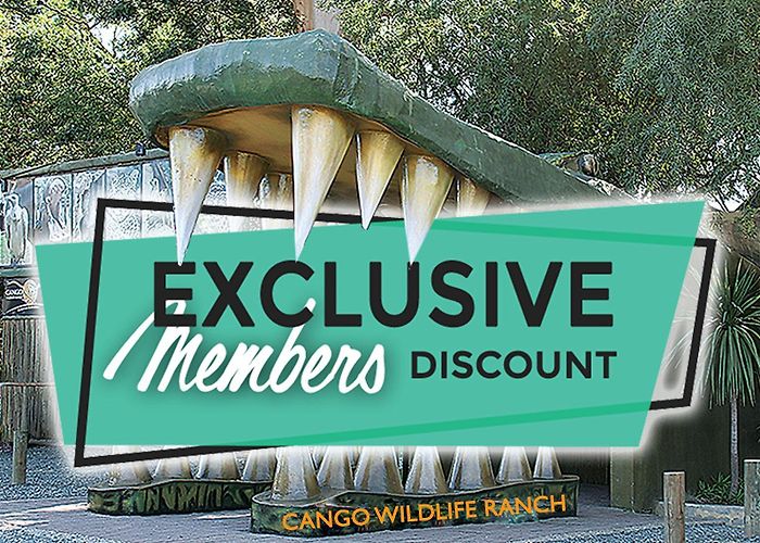 Cango Wildlife Ranch Exclusive Members Discount - Cango Wildlife Ranch photo