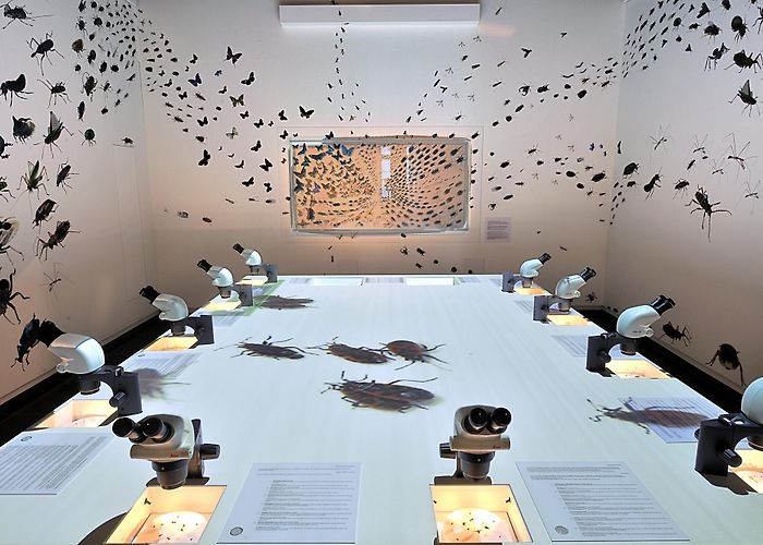 Musée d'Histoire naturelle Muséum d'histoire naturelle, Neuchâtel | Neuchâtel Tourisme (CH ... photo