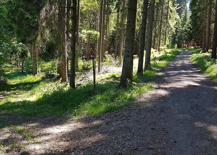 Saidenbach lake Top 5 Hikes and Walks around Schwarzenberg/Erzgebei | Komoot photo