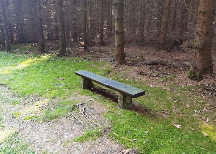 Saidenbach lake MTB Tour - Erfrischung an der Talsperre Saidenbach - BERGFEX ... photo