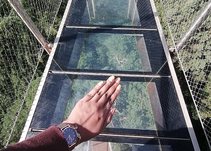 National Park Drents-Friese Wold Bosbergtoren - What to Know BEFORE You Go (with Photos) photo