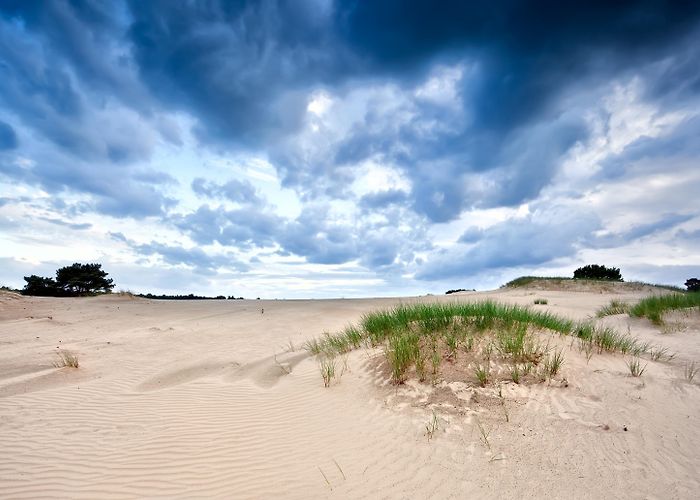 National Park Drents-Friese Wold Visit Appelscha: 2024 Travel Guide for Appelscha, Friesland | Expedia photo