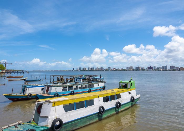 Museum Homem Sergipano Things to Do in Sergipe in 2024 | Expedia photo