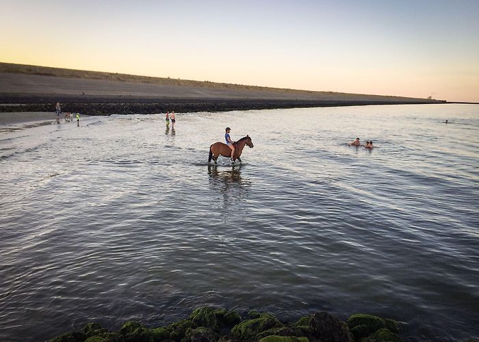 IJsselmeer (Lake IJssel) Frisian Islands: bike and barge tour in the North Sea photo
