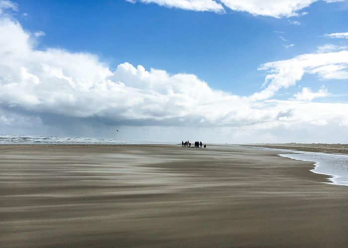 IJsselmeer (Lake IJssel) Frisian Islands: bike and barge tour in the North Sea photo