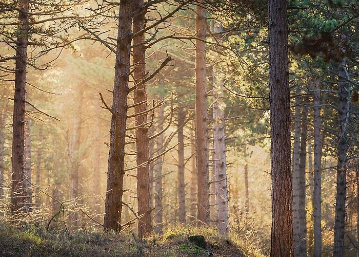 Neeltje Jans Visit Burgh-Haamstede: 2024 Travel Guide for Burgh-Haamstede ... photo