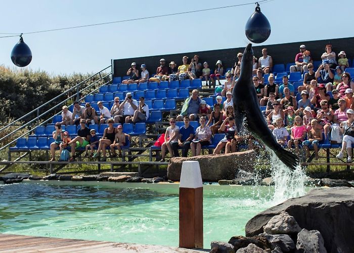 Neeltje Jans Parc Ganuenta | Deltapark Neeltje Jans photo