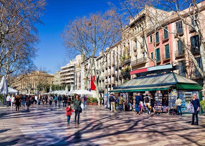 La Rambla Tourism Office A Complete Guide to the Iconic La Rambla Barcelona photo