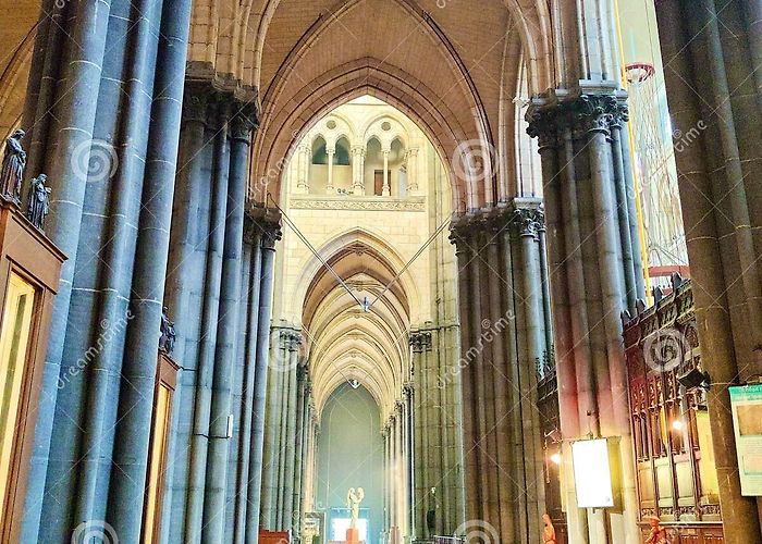 Notre Dame de la Treille Cathedral Basilique-cathÃ©drale Notre-Dame-de-la-Treille De Lille Basilica ... photo