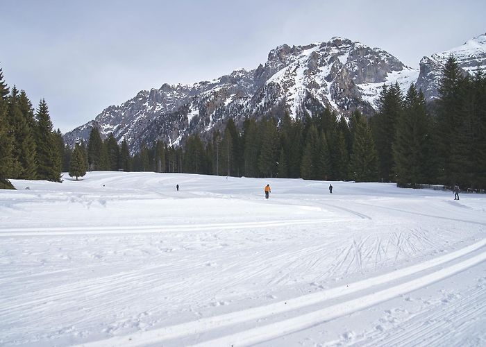 Malghette Scuola Italiana Sci di Fondo Malghette photo