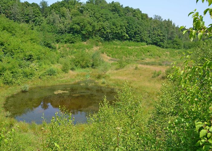 Bergse Heide Bergse Heide - Meertensgroeve - Het Limburgs Landschap photo