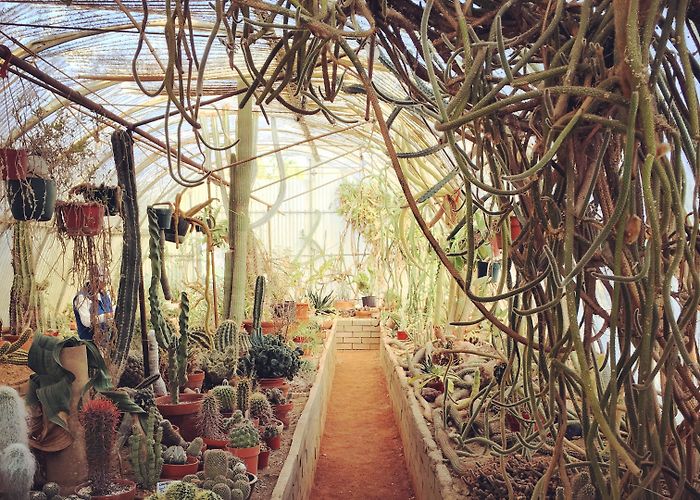 Moorten Botanical Garden Moorten Botanical Garden photo