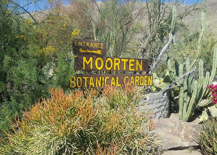 Moorten Botanical Garden Moorten Botanical Garden - Visit Palm Springs photo