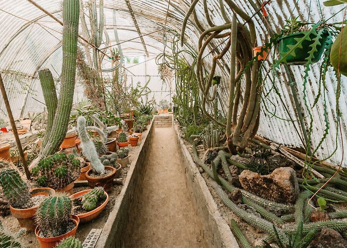 Moorten Botanical Garden Moorten Botanical Garden & Cactarium » Local Love & Wanderlust ... photo