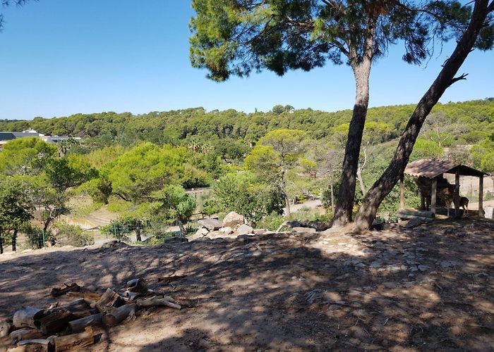 Parc Zoologique de Frejus Parc zoologique de Fréjus - Un écrin de biodiversités photo