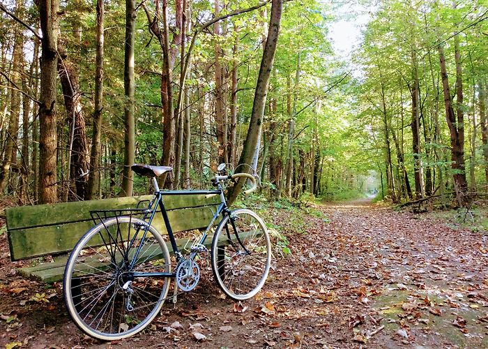 Presqu'ile Provincial Park First day of fall in Presqu'ile Provincial Park in Brighton, ON ... photo