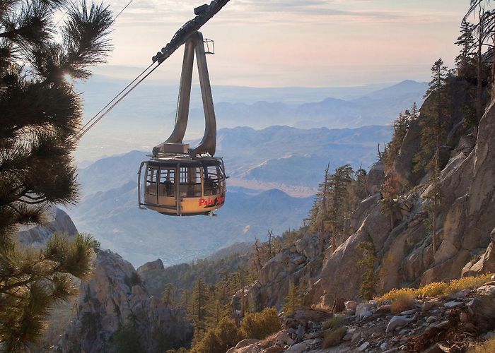 Palm Springs Aerial Tramway Palm Springs Aerial Tramway | Explore San Jacinto Peak photo