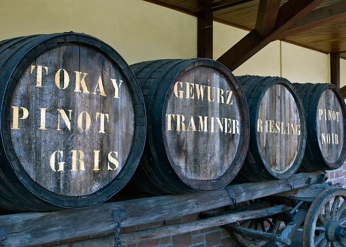 Memorial Alsace-Moselle Alsace-Moselle Memorial Tours - Book Now | Expedia photo