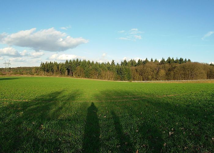 Deutsches Zeitungsmuseum Saarlouis District Vacation Rentals, Saarland: house rentals ... photo
