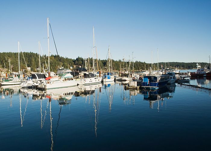 Montague Harbour Saltspring Marina Tours - Book Now | Expedia photo