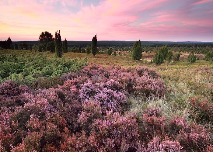 Barfußpark Visit Bispingen: 2024 Travel Guide for Bispingen, Lower Saxony ... photo