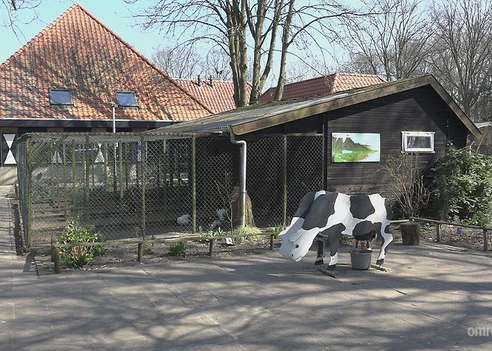 Kinderboerderij Hagerhof Kinderboerderij Hagerhof in zwaar weer | Omroep Venlo photo