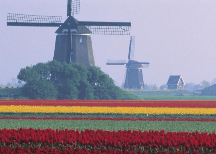 Gemeentelijk Archeologisch Museum DK Eyewitness Travel - The Netherlands - Flipbook by zogothebest ... photo