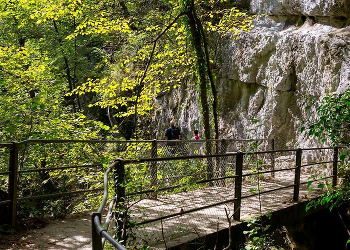 Tierpark Biel Taubenloch Gorge and mountain Bözingenberg, Frinvillier - Biel ... photo