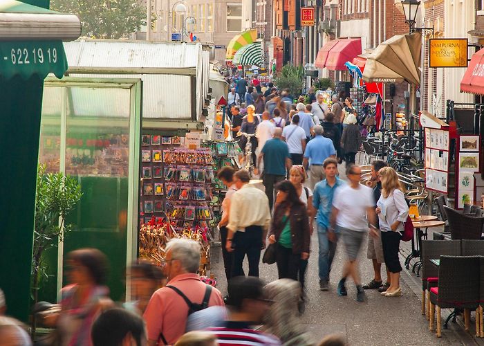 North Shopping Flower Market Tours - Book Now | Expedia photo