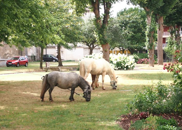 The Oise Departmental Museum Visit Beauvais: 2024 Travel Guide for Beauvais, Hauts-de-France ... photo