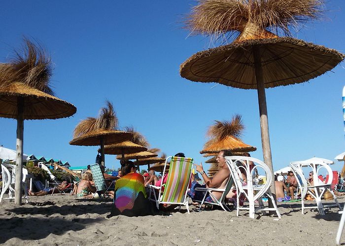 Playas del Sur Playas del Sur, Mar del Plata | Mar del plata playa, Mar del plata ... photo